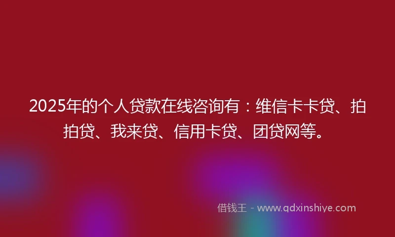 2025年的个人贷款在线咨询有：维信卡卡贷、拍拍贷、我来贷、信用卡贷、团贷网等。