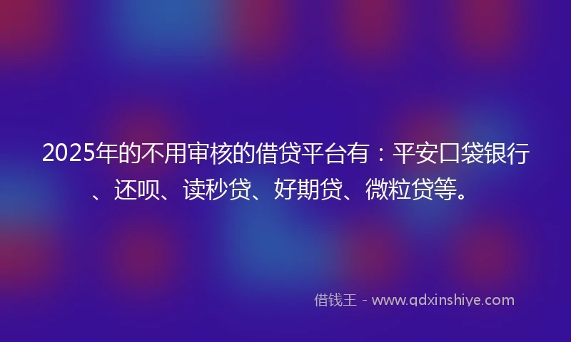 2025年的不用审核的借贷平台有：平安口袋银行、还呗、读秒贷、好期贷、微粒贷等。