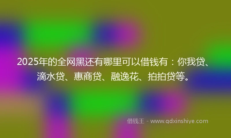 2025年的全网黑还有哪里可以借钱有：你我贷、滴水贷、惠商贷、融逸花、拍拍贷等。