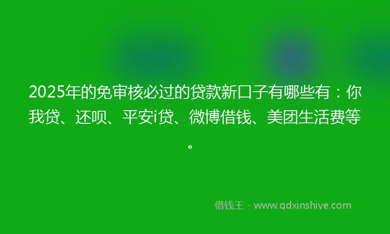 2025年的免审核必过的贷款新口子有哪些有：你我贷、还呗、平安i贷、微博借钱、美团生活费等。