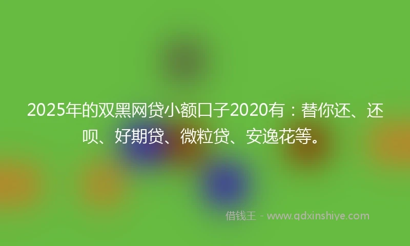 2025年的双黑网贷小额口子2020有：替你还、还呗、好期贷、微粒贷、安逸花等。