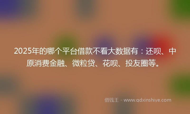 2025年的哪个平台借款不看大数据有：还呗、中原消费金融、微粒贷、花呗、投友圈等。