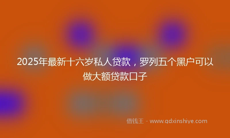 2025年最新十六岁私人贷款，罗列五个黑户可以做大额贷款口子