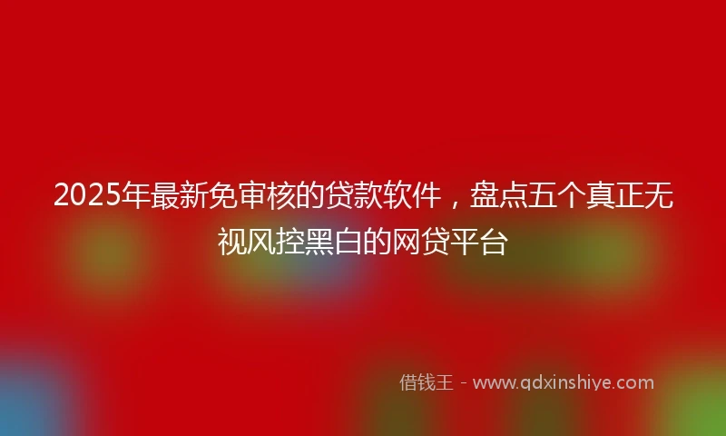 2025年最新免审核的贷款软件，盘点五个真正无视风控黑白的网贷平台