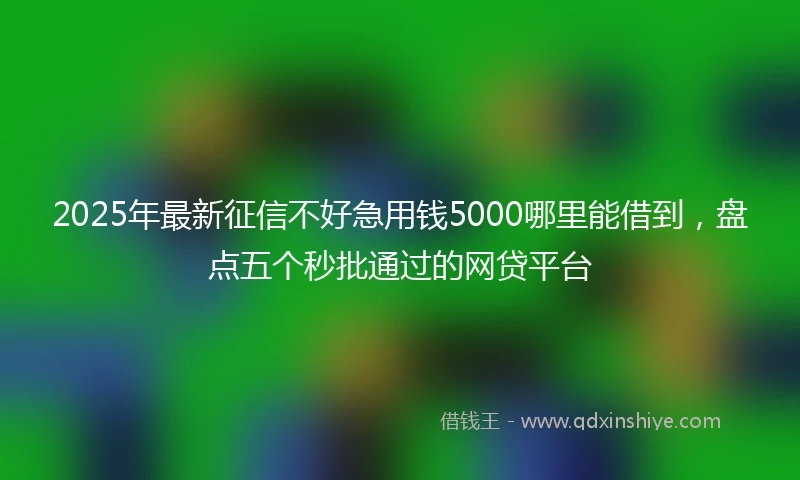 2025年最新征信不好急用钱5000哪里能借到，盘点五个秒批通过的网贷平台