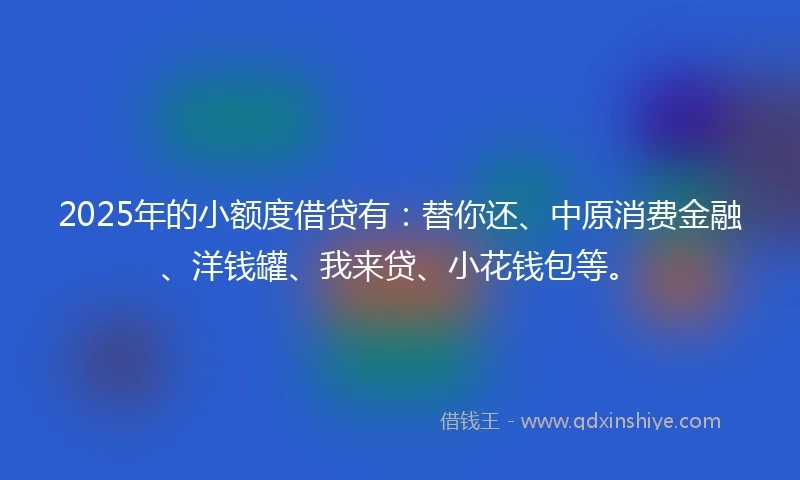 2025年的小额度借贷有：替你还、中原消费金融、洋钱罐、我来贷、小花钱包等。