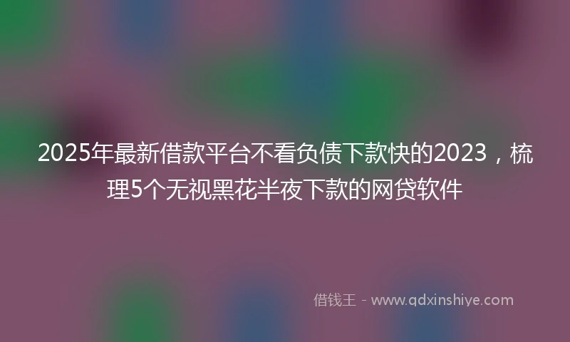2025年最新借款平台不看负债下款快的2023，梳理5个无视黑花半夜下款的网贷软件