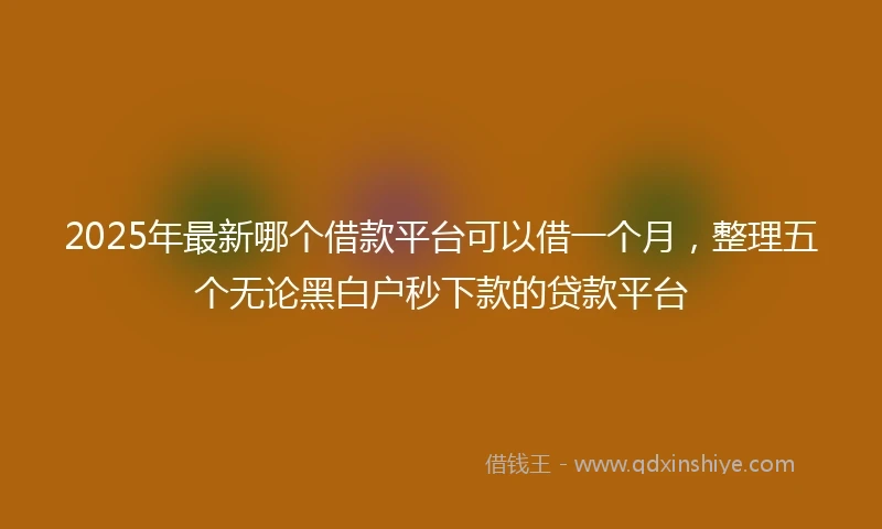 2025年最新哪个借款平台可以借一个月，整理五个无论黑白户秒下款的贷款平台