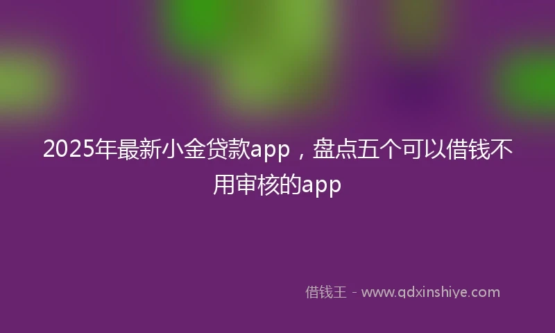 2025年最新小金贷款app，盘点五个可以借钱不用审核的app