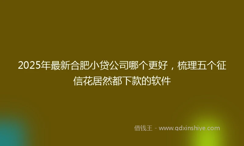 2025年最新合肥小贷公司哪个更好，梳理五个征信花居然都下款的软件