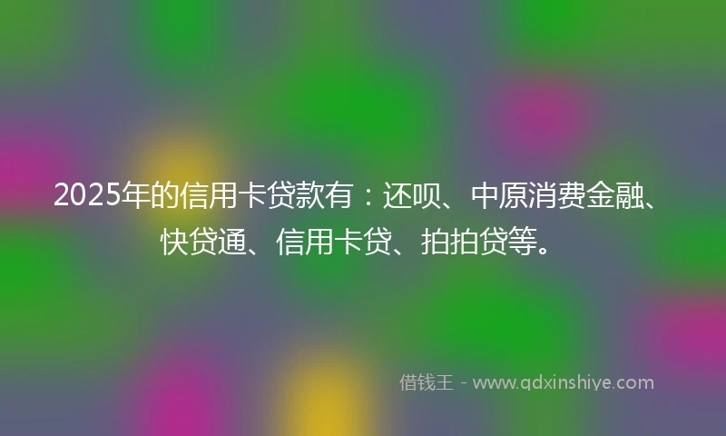 2025年的信用卡贷款有：还呗、中原消费金融、快贷通、信用卡贷、拍拍贷等。