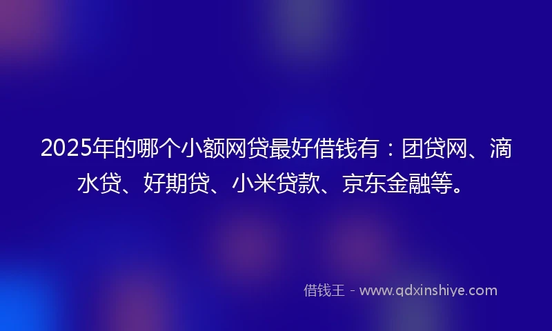 2025年的哪个小额网贷最好借钱有：团贷网、滴水贷、好期贷、小米贷款、京东金融等。