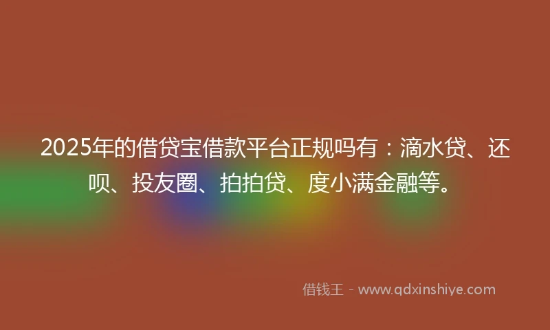 2025年的借贷宝借款平台正规吗有：滴水贷、还呗、投友圈、拍拍贷、度小满金融等。
