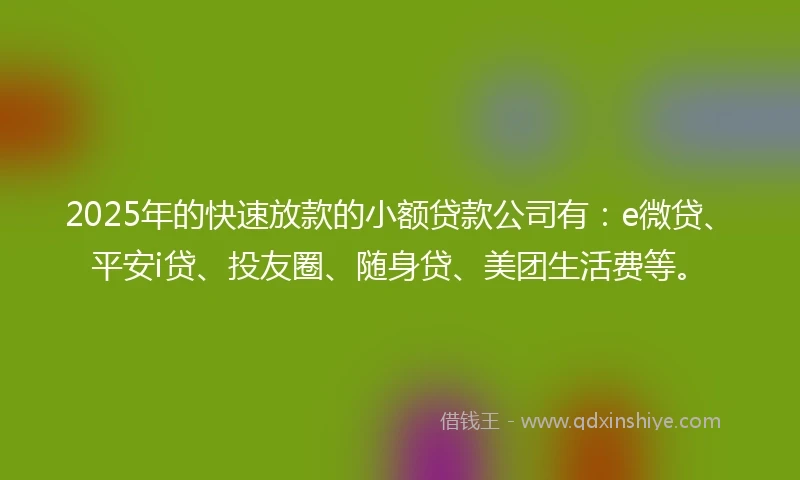 2025年的快速放款的小额贷款公司有：e微贷、平安i贷、投友圈、随身贷、美团生活费等。