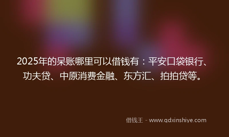 2025年的呆账哪里可以借钱有：平安口袋银行、功夫贷、中原消费金融、东方汇、拍拍贷等。