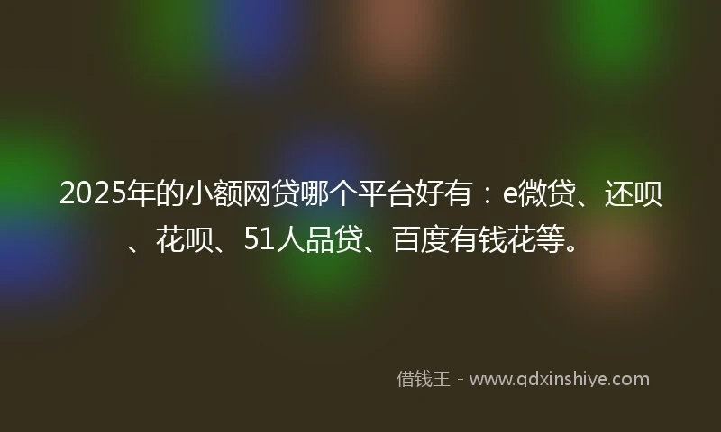 2025年的小额网贷哪个平台好有：e微贷、还呗、花呗、51人品贷、百度有钱花等。