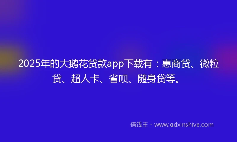 2025年的大鹅花贷款app下载有：惠商贷、微粒贷、超人卡、省呗、随身贷等。
