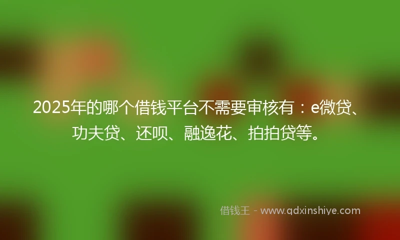 2025年的哪个借钱平台不需要审核有：e微贷、功夫贷、还呗、融逸花、拍拍贷等。