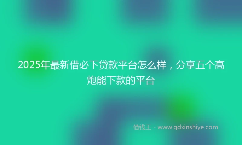 2025年最新借必下贷款平台怎么样，分享五个高炮能下款的平台