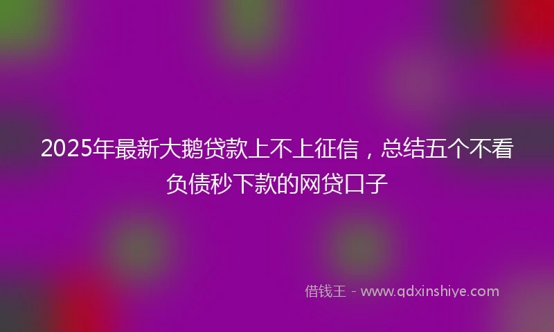 2025年最新大鹅贷款上不上征信，总结五个不看负债秒下款的网贷口子