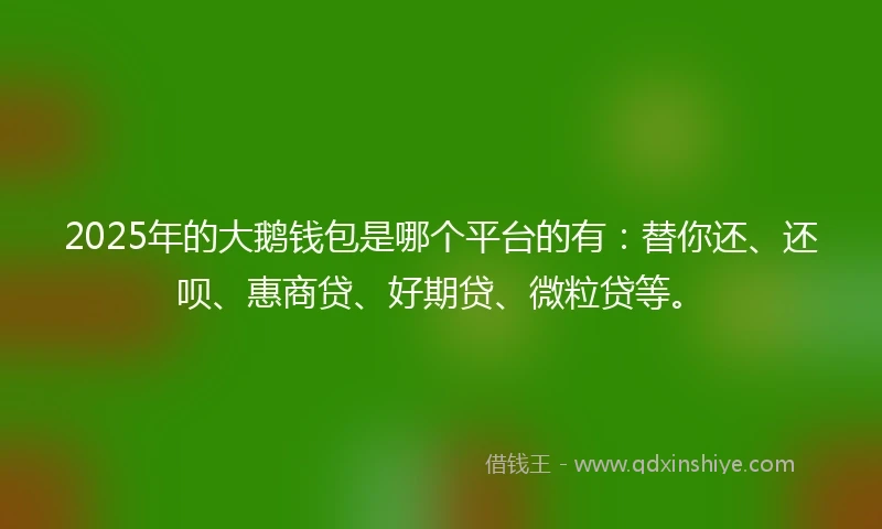 2025年的大鹅钱包是哪个平台的有：替你还、还呗、惠商贷、好期贷、微粒贷等。