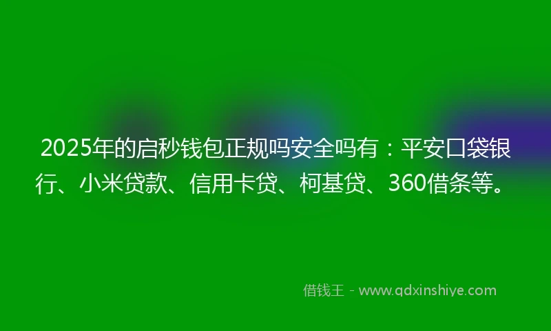 2025年的启秒钱包正规吗安全吗有：平安口袋银行、小米贷款、信用卡贷、柯基贷、360借条等。