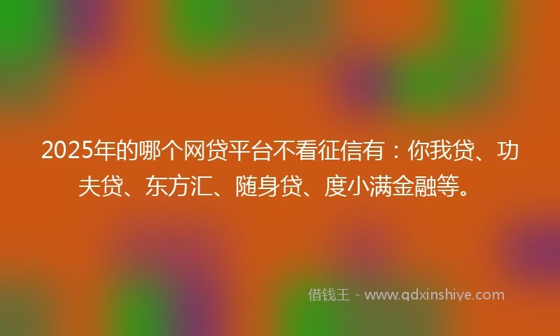 2025年的哪个网贷平台不看征信有：你我贷、功夫贷、东方汇、随身贷、度小满金融等。