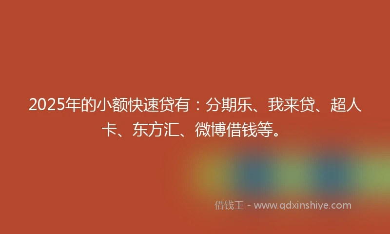 2025年的小额快速贷有：分期乐、我来贷、超人卡、东方汇、微博借钱等。
