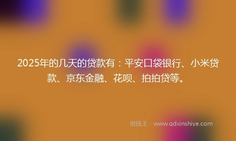 2025年的几天的贷款有：平安口袋银行、小米贷款、京东金融、花呗、拍拍贷等。