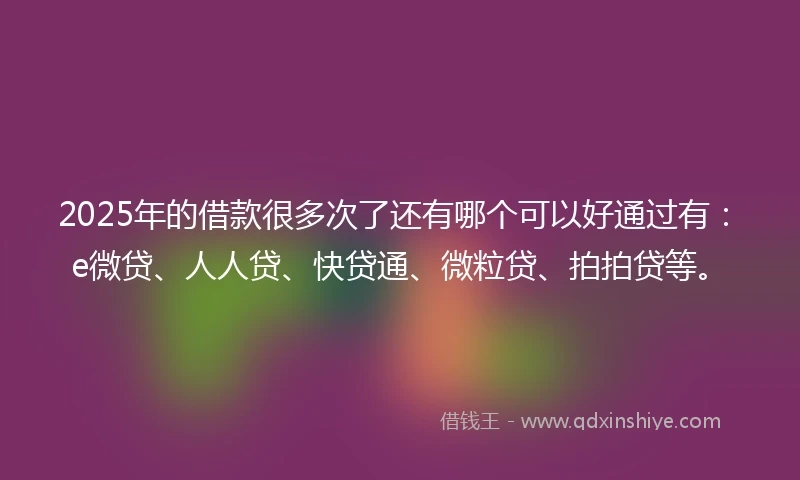 2025年的借款很多次了还有哪个可以好通过有：e微贷、人人贷、快贷通、微粒贷、拍拍贷等。
