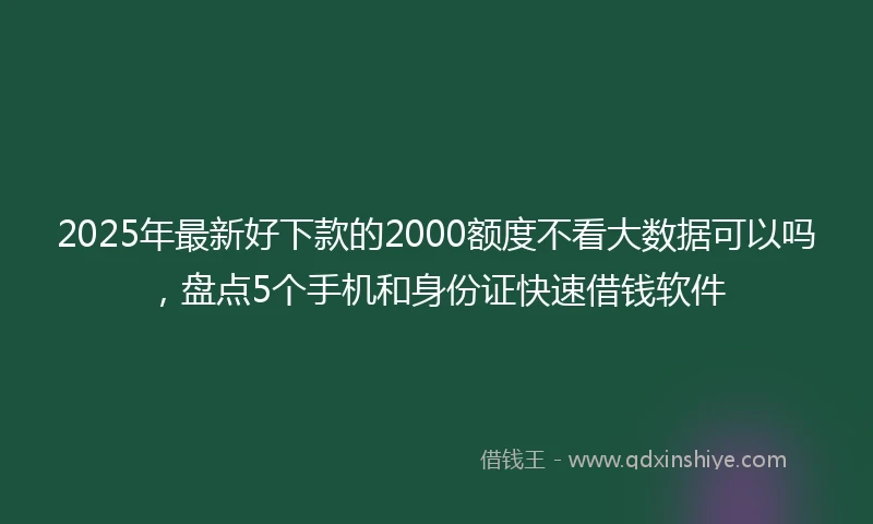 2025年最新好下款的2000额度不看大数据可以吗，盘点5个手机和身份证快速借钱软件
