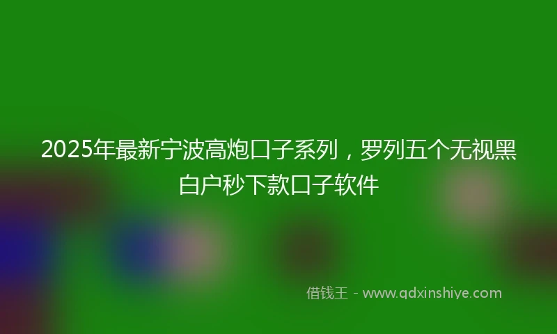 2025年最新宁波高炮口子系列，罗列五个无视黑白户秒下款口子软件
