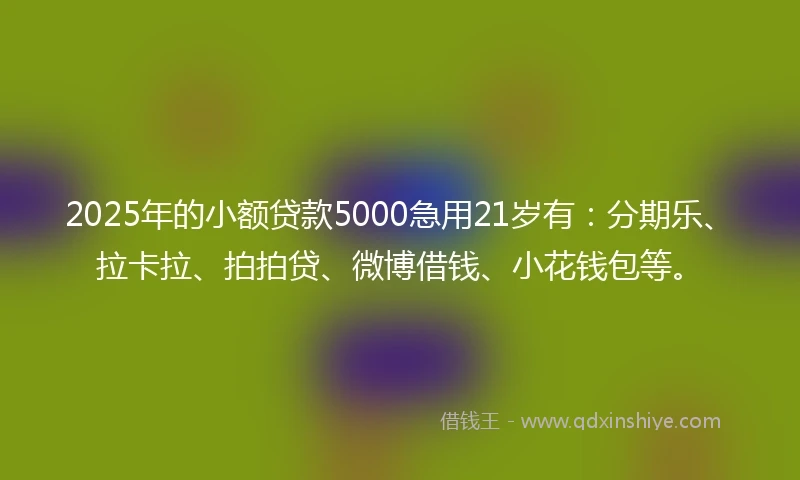 2025年的小额贷款5000急用21岁有：分期乐、拉卡拉、拍拍贷、微博借钱、小花钱包等。