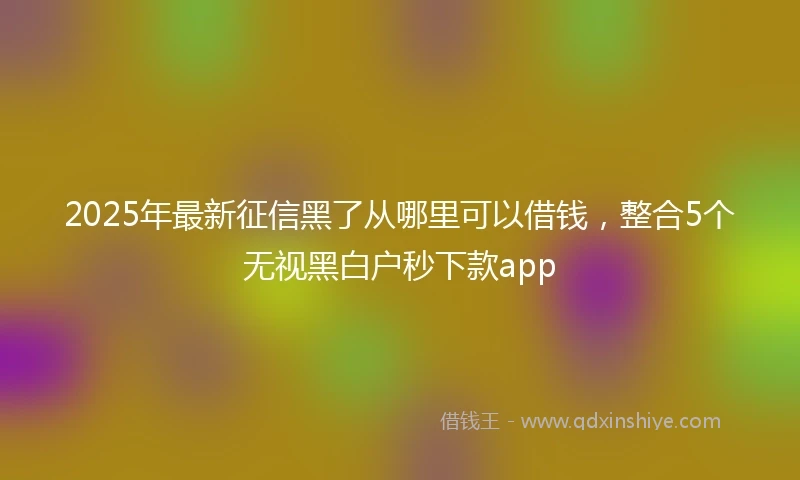 2025年最新征信黑了从哪里可以借钱，整合5个无视黑白户秒下款app