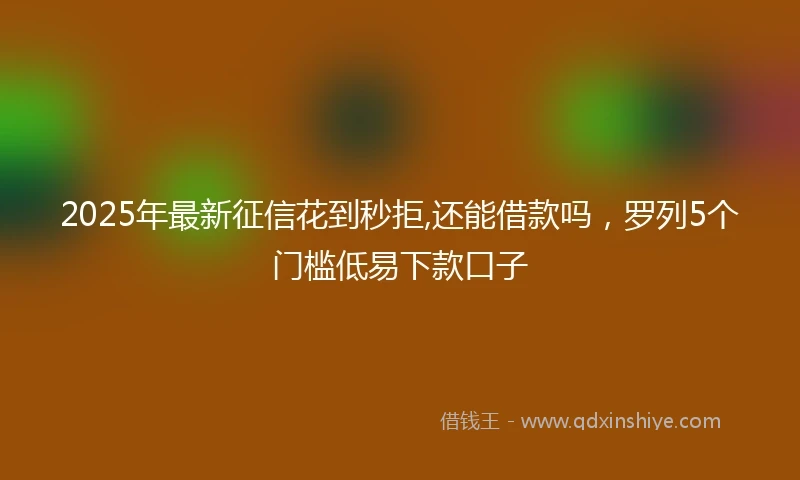 2025年最新征信花到秒拒,还能借款吗，罗列5个门槛低易下款口子