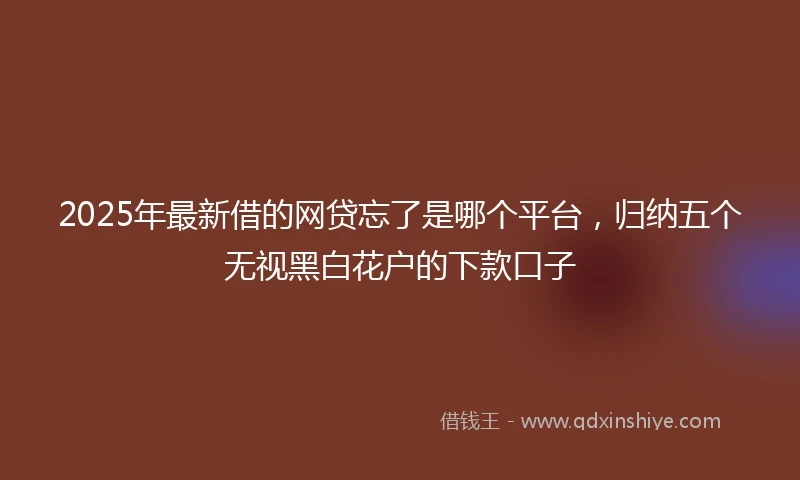 2025年最新借的网贷忘了是哪个平台，归纳五个无视黑白花户的下款口子