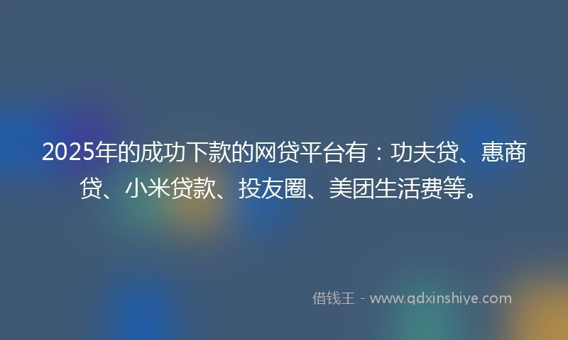 2025年的成功下款的网贷平台有：功夫贷、惠商贷、小米贷款、投友圈、美团生活费等。