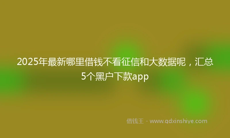 2025年最新哪里借钱不看征信和大数据呢，汇总5个黑户下款app