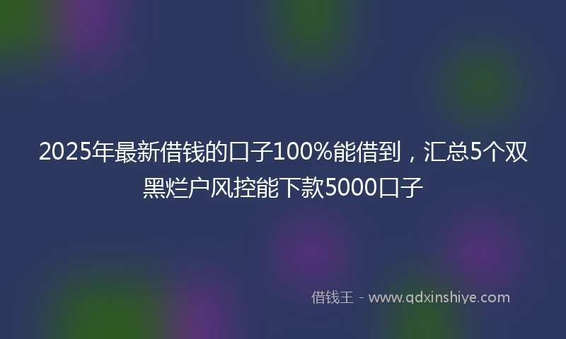 2025年最新借钱的口子100%能借到，汇总5个双黑烂户风控能下款5000口子