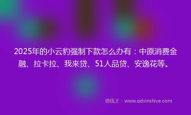 2025年的小云豹强制下款怎么办有：中原消费金融、拉卡拉、我来贷、51人品贷、安逸花等。