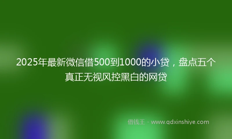 2025年最新微信借500到1000的小贷，盘点五个真正无视风控黑白的网贷