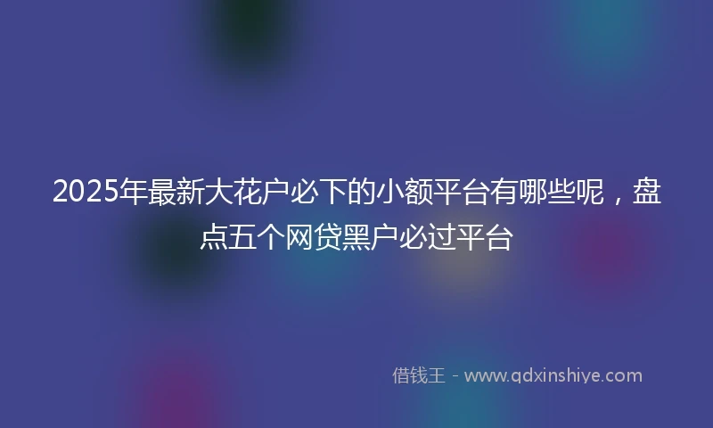 2025年最新大花户必下的小额平台有哪些呢，盘点五个网贷黑户必过平台