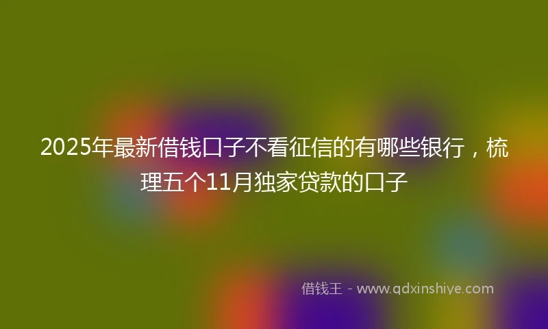 2025年最新借钱口子不看征信的有哪些银行，梳理五个11月独家贷款的口子