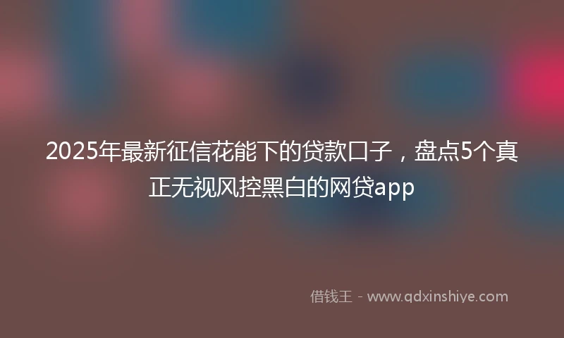 2025年最新征信花能下的贷款口子，盘点5个真正无视风控黑白的网贷app