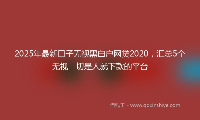 2025年最新口子无视黑白户网贷2020，汇总5个无视一切是人就下款的平台