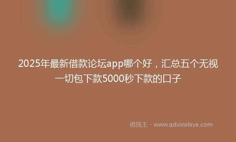 2025年最新借款论坛app哪个好，汇总五个无视一切包下款5000秒下款的口子