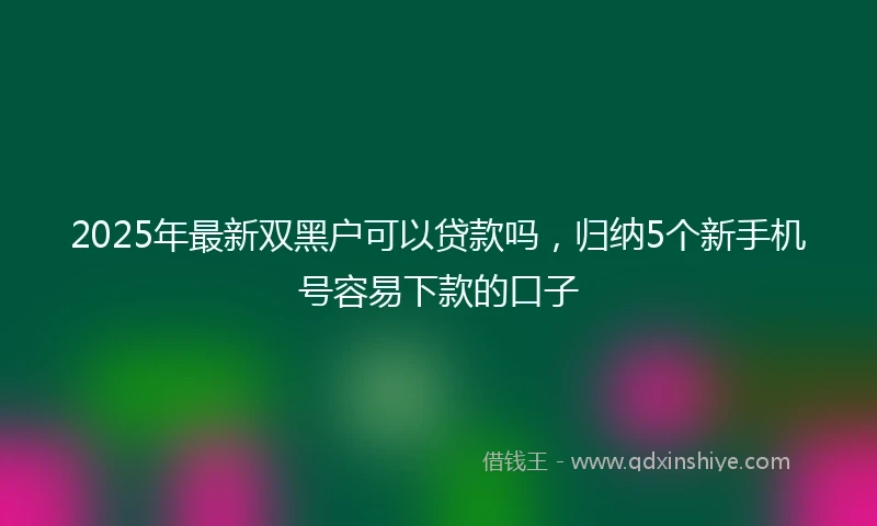 2025年最新双黑户可以贷款吗，归纳5个新手机号容易下款的口子