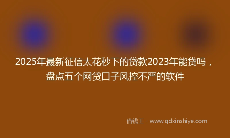 2025年最新征信太花秒下的贷款2023年能贷吗，盘点五个网贷口子风控不严的软件