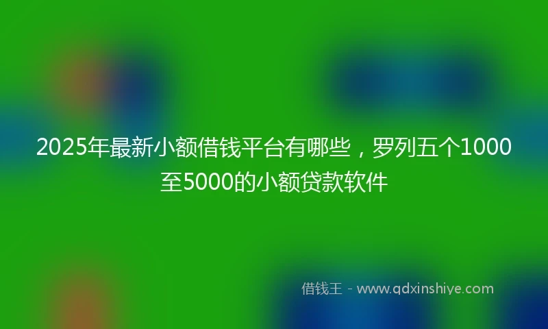 2025年最新小额借钱平台有哪些，罗列五个1000至5000的小额贷款软件