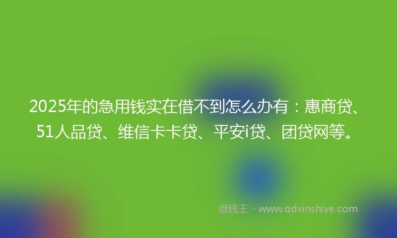 2025年的急用钱实在借不到怎么办有：惠商贷、51人品贷、维信卡卡贷、平安i贷、团贷网等。